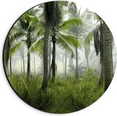 Dibond Wandcirkel - Tropische Groene Palmbomen - 20x20cm Foto op Aluminium Wandcirkel (met ophangsysteem)