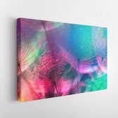 Colorful Pastel background - Vivid color abstract dandelion flower - extreme closeup with soft focus, beautiful nature details, very shallow depth of field - Modern Art Canvas - Ho