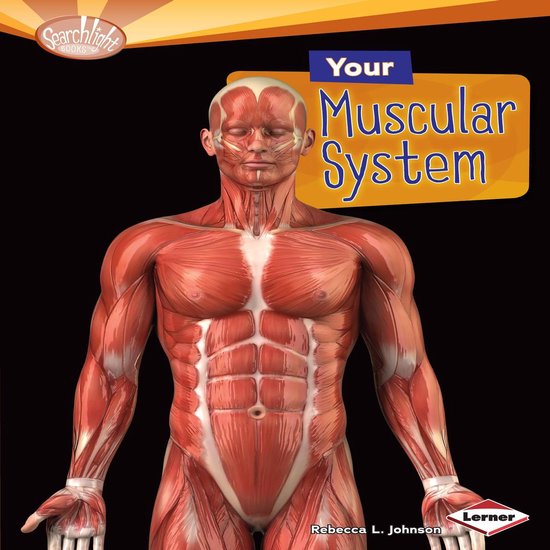 Your Muscular System - cover