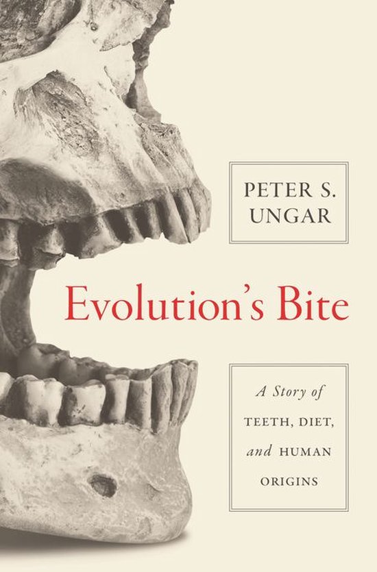 Couverture du livre 'Evolution's Bite' avec un gros plan sur un crâne et des dents, et le texte 'Peter S. Ungar Evolution's Bite A Story of TEETH, DIET, and HUMAN ORIGINS'.
