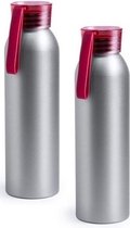 2x Aluminium drinkfles/waterfles met rode dop 650 ml - Sportfles - Sportbidon