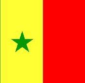 vlag Senegal 30x45cm
