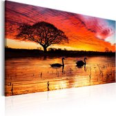Schilderijen Op Canvas - Schilderij - Swan Lake 120x80 - Artgeist Schilderij