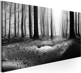 Schilderijen Op Canvas - Schilderij - Forest after Rain (1 Part) Narrow 150x50 - Artgeist Schilderij