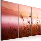 Schilderijen Op Canvas - Schilderij - Stille weide 60x40 - Artgeist Schilderij
