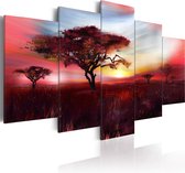 Schilderijen Op Canvas - Schilderij - Wild savannah 100x50 - Artgeist Schilderij