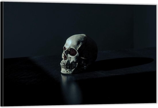 Dibond –Skelet van Hoofd in het Donker– 90x60 Foto op Aluminium (Met Ophangsysteem)