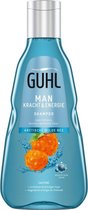 Guhl Shampoo Man Power & Energie 250 ml