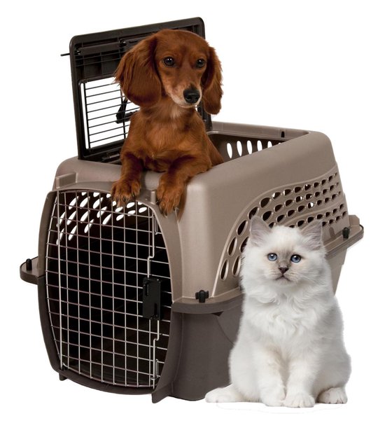 Petmate 2 Door Top Load Kennel - Reisbench hond of kat - Reismand - Transportbox hond - 100% gerecycled materiaal - S - Bruin - Petmate