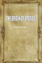 E-book