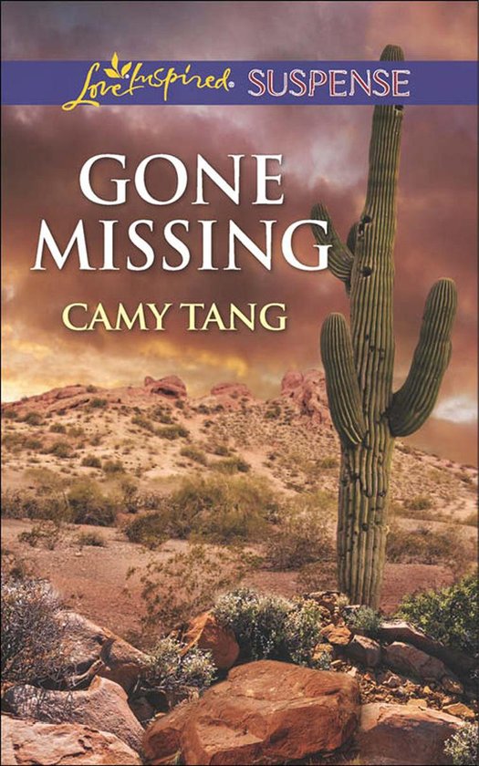 Gone Missing (Mills & Boon Love Inspired Suspense) - cover