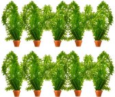 VDVELDE Waterpest Plantjes Elodea Densa - 10 bosjes - Hoogte 20 cm - Zuurstofplant voor Vijver en Aquarium - Van der Velde Waterplanten