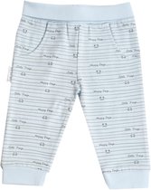 Frogs and Dogs | Pants Streepjes | Blauw | Maat 62