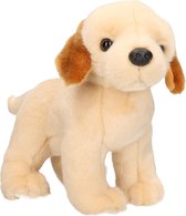 Pluche blonde Labrador hond knuffel 20 cm - Honden huisdieren knuffels - Speelgoed voor kinderen
