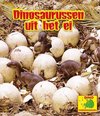 Dino-onderzoekers - Dinosaurussen uit het ei