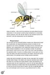 Product afbeelding  8