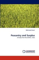 Peasantry and Surplus