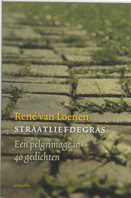 Cover van het boek 'Straatliefdegras'