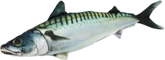 Kussen vis - Makreel - Meerkleurig - Vismodel kussen - Groot formaat - Sierkussen - 60 cm