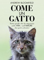 Come un Gatto