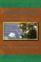 Poems about Exterior and Interior Ruminations