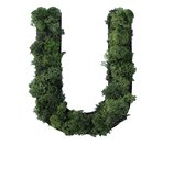 Interiorsigns - Mosletter "U" - Letter van Rendiermos