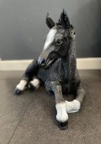 Goodyz- Statue cheval- Poulain - couché - 70x45cm Longueur/Hauteur - différentes couleurs