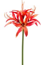 Kunstbloem Hippeastrum oranje 73 cm