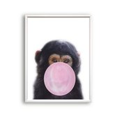 Schilderij  Jungle aap met roze kauwgom - Jungle dieren / Kauwgombel / 50x40cm