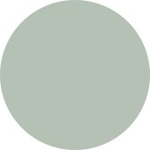Blanco muurcirkel mint 2 stuks 10 cm / Forex