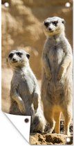 Schuttingposter Rots - Stokstaartjes - Dieren - 100x200 cm - Tuindoek