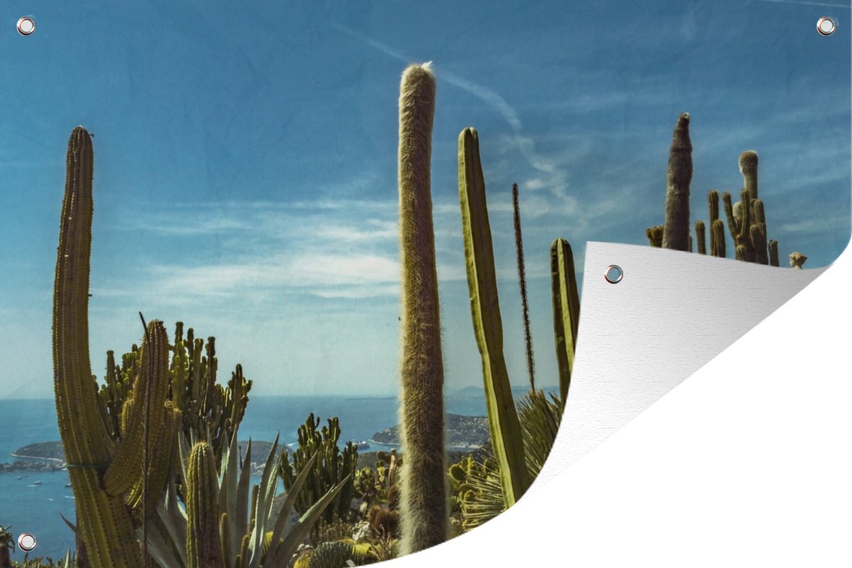 Affiche de jardin Cactus sur la côte de la mer Méditerranée 60x40
