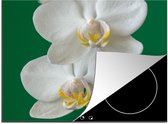 KitchenYeah® Inductie beschermer 60x52 cm - Orchidee met groene achtergrond - Kookplaataccessoires - Afdekplaat voor kookplaat - Inductiebeschermer - Inductiemat - Inductieplaat mat