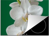 KitchenYeah® Inductie beschermer 70x52 cm - Orchidee met groene achtergrond - Kookplaataccessoires - Afdekplaat voor kookplaat - Inductiebeschermer - Inductiemat - Inductieplaat mat
