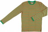 verkleedshirt Stripes heren katoen oranje/groen maat M