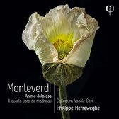 Monteverdi: Anima Dolorosa