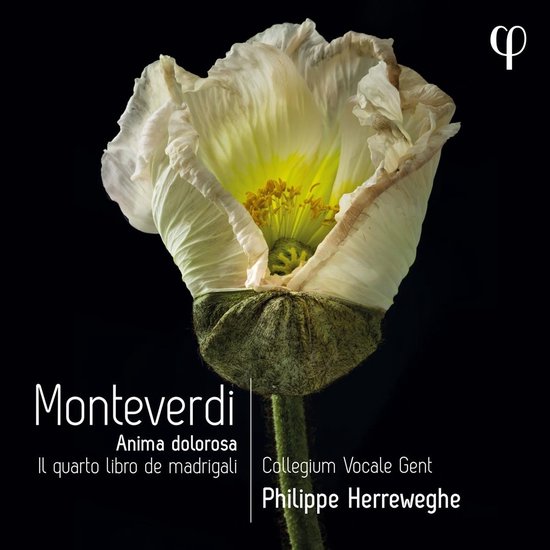 Collegium Vocale Gent, Philippe Herreweghe - Il Quarto Libro De Madrigali (CD)