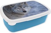 Broodtrommel Blauw - Lunchbox - Brooddoos - Kop van grijze wolf - 18x12x6 cm - Kinderen - Jongen
