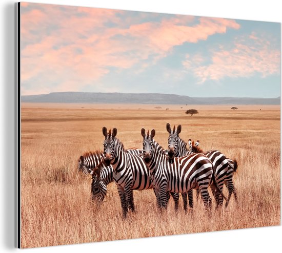 Wanddecoratie Metaal - Aluminium Schilderij Industrieel - Zebras in de natuur - 60x40 cm - Dibond - Foto op aluminium - Industriële muurdecoratie - Voor de woonkamer/slaapkamer