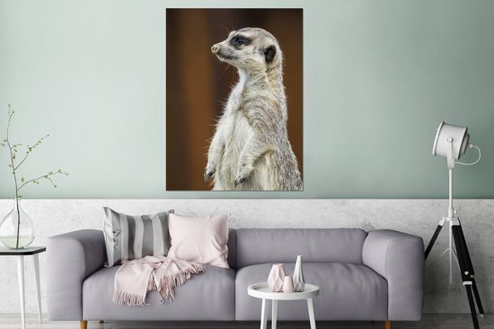 Vue latérale d'un Suricate Aluminium 120x160 cm - Tirage photo sur Aluminium (décoration murale métal) XXL / Groot format!