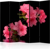 Vouwscherm - Azalea in Black II [Room Dividers]