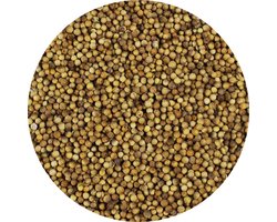 Van Beekum Specerijen - Koriander Heel - 10 KG - Zak (bulk verpakking)