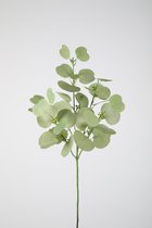 Kunstblad Eucalyptus - topkwaliteit decoratie - Groen - zijden tak - 71 cm hoog