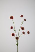 Kunstbloem Astrantia - topkwaliteit decoratie - Paars - zijden tak - 73 cm hoog