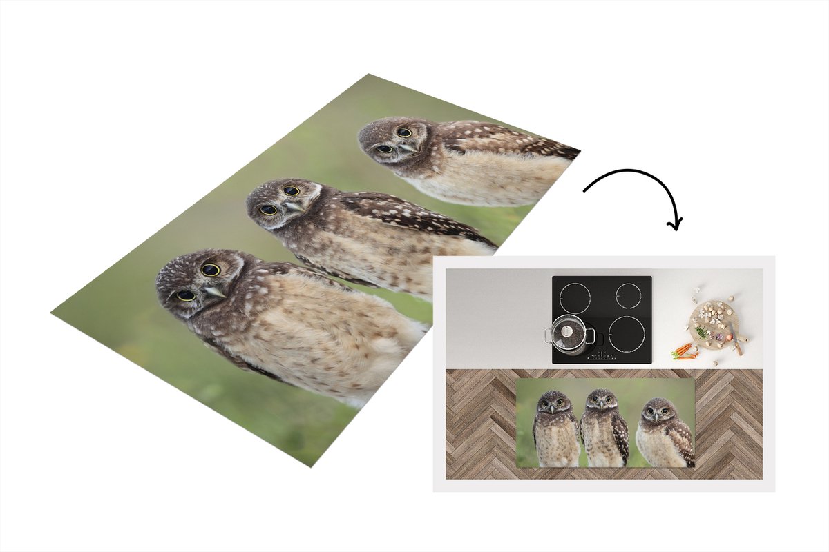 KitchenYeah Keukenloper - Loper keuken - Drie holenuilen - 120x60 cm - Keukenloper vinyl Multicolor