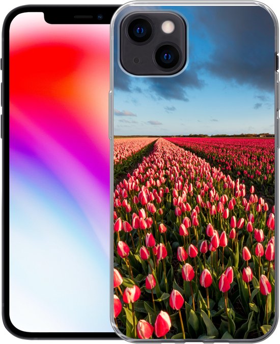iPhone 13 hoesje met een veld met roze en rode tulpen, naast een iPhone 13 met een kleurrijk scherm.