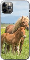 Geschikt voor iPhone 12 Pro Max hoesje - Paarden - Veulen - Berg - Siliconen Telefoonhoesje
