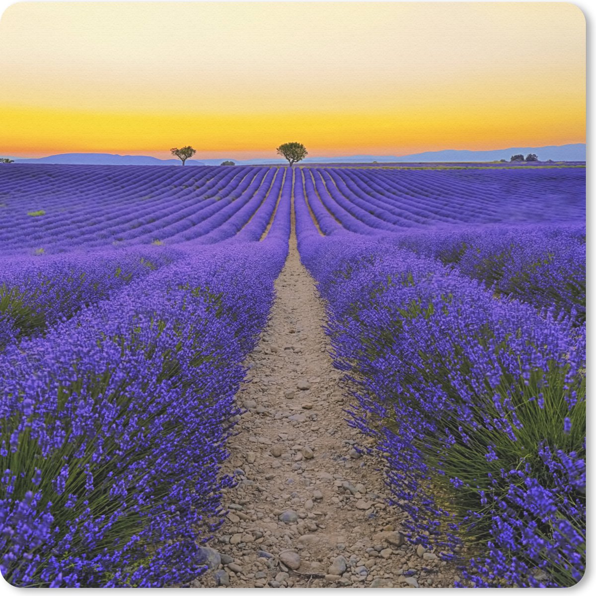 Muismat 20x20 cm - Mousepad Frankrijk - Lavendel - Kleuren - Muismatten
