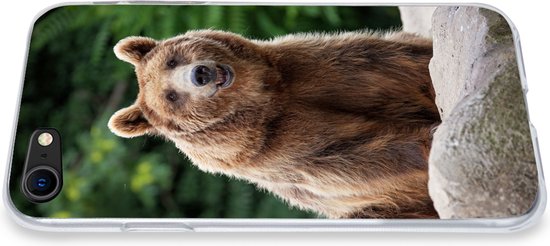 Coque iPhone 7 - Forêt - Ours - Pierres - Siliconen