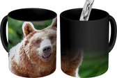 Magische Mok - Foto op Warmte Mok - Bos - Beer - Stenen - 350 ML - Uitdeelcadeautjes